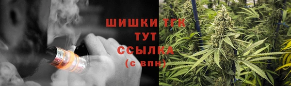 ешки Нефтегорск