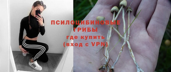 СК Нефтекумск