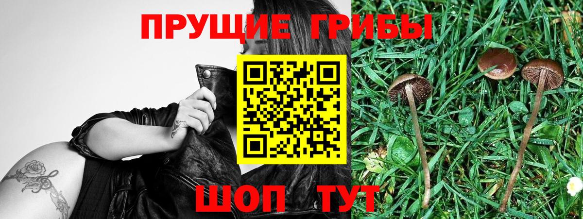 Псилоцибиновые грибы мицелий  Вход с VPN  даркнет сайт  Каменск-Уральский 