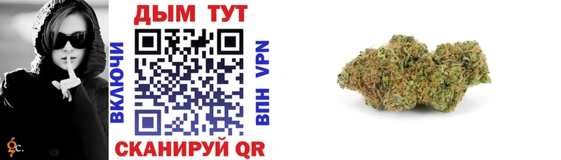 Марихуана SATIVA & INDICA  магазин  наркотиков  Каменск-Уральский 